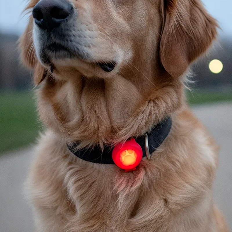 led collar pendant